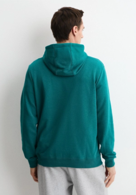 ASTON MARTIN F1 ESSENTIAL HOODIE GREEN LUX MENS - Imagen 5