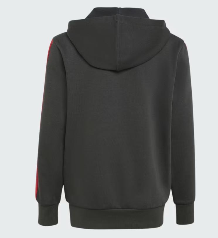 AUDI REVOLUT F1 DNA FULL ZIP HOODIE KIDS 2026 - Imagen 2