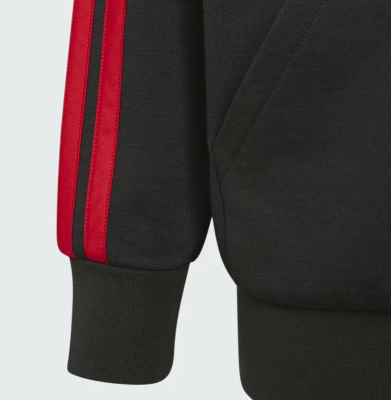 AUDI REVOLUT F1 DNA FULL ZIP HOODIE KIDS 2026 - Imagen 5