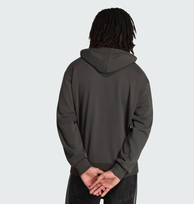 AUDI REVOLUT F1 DNA HOODIE MENS 2026 - Imagen 2