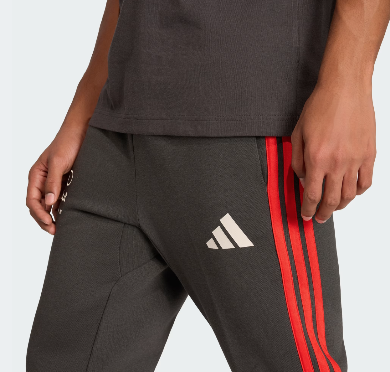 AUDI REVOLUT F1 DNA PANTS MENS UTILITY BLACK - Imagen 7